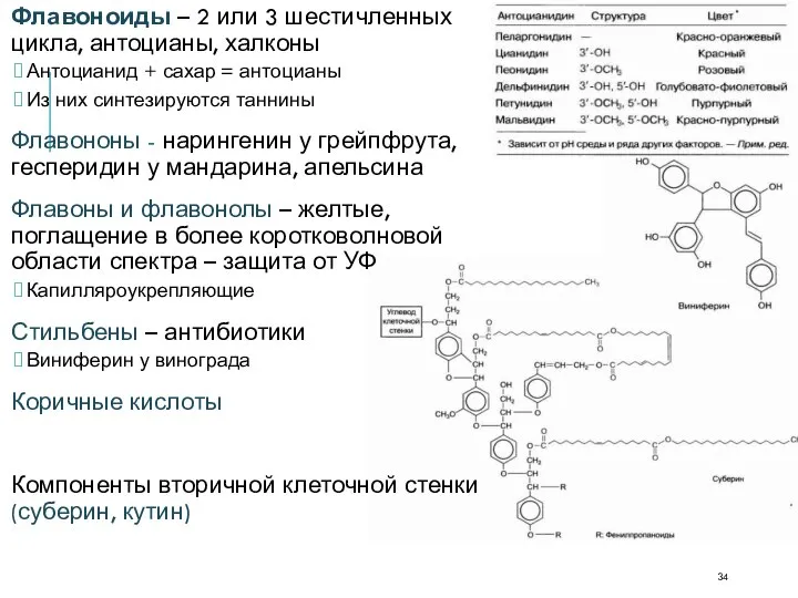 Флавоноиды – 2 или 3 шестичленных цикла, антоцианы, халконы Антоцианид +