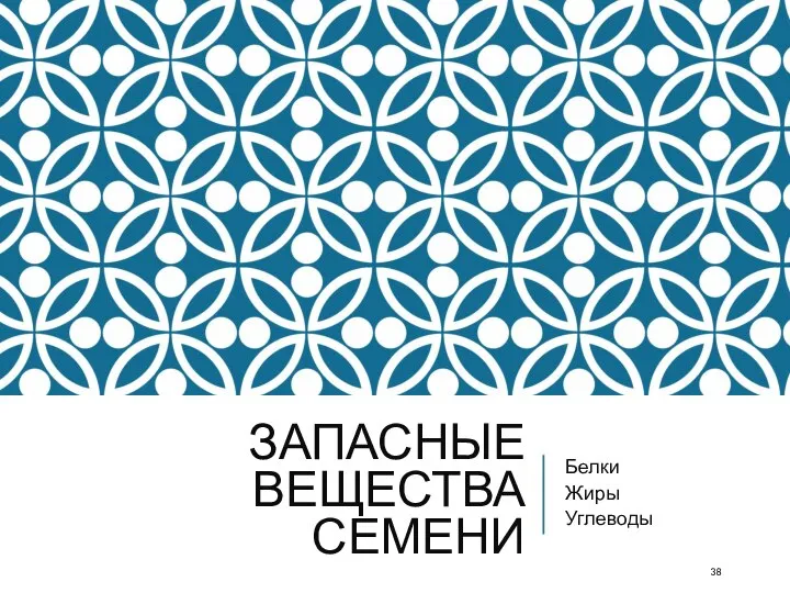 ЗАПАСНЫЕ ВЕЩЕСТВА СЕМЕНИ Белки Жиры Углеводы