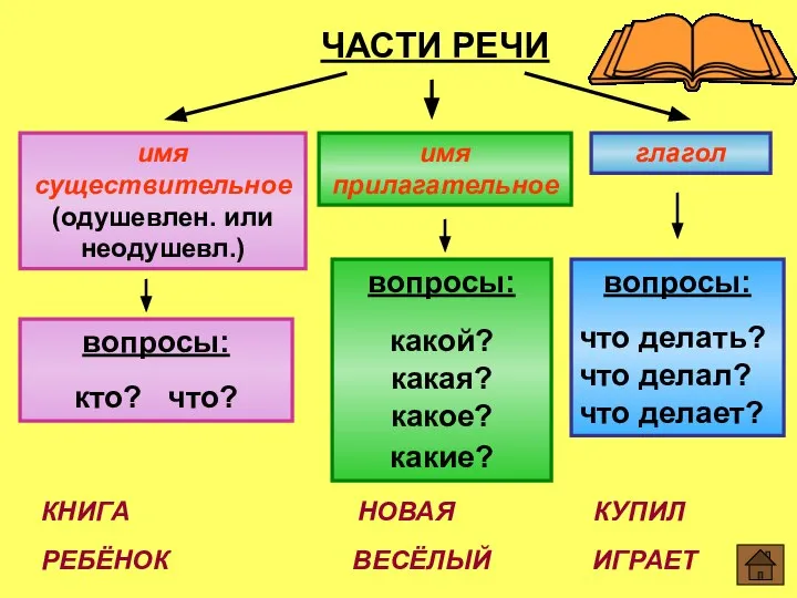 ЧАСТИ РЕЧИ имя существительное (одушевлен. или неодушевл.) вопросы: кто? что? имя