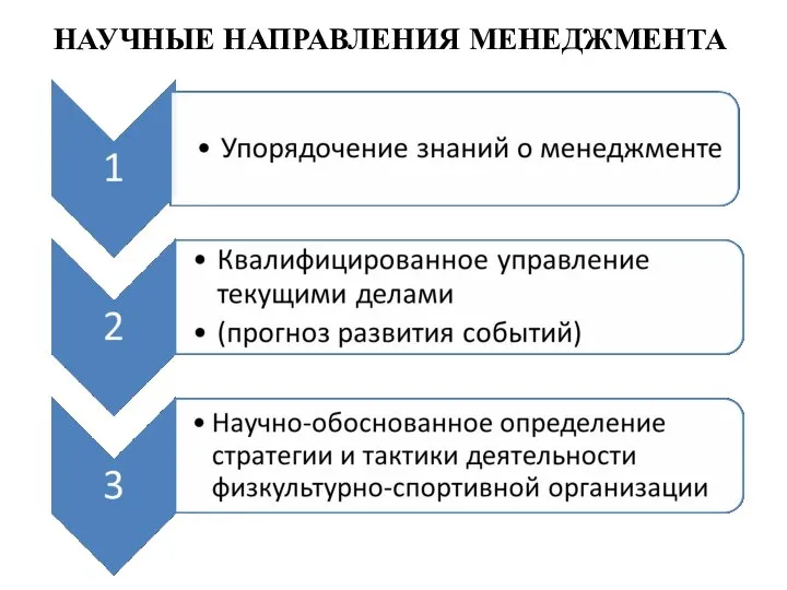 НАУЧНЫЕ НАПРАВЛЕНИЯ МЕНЕДЖМЕНТА