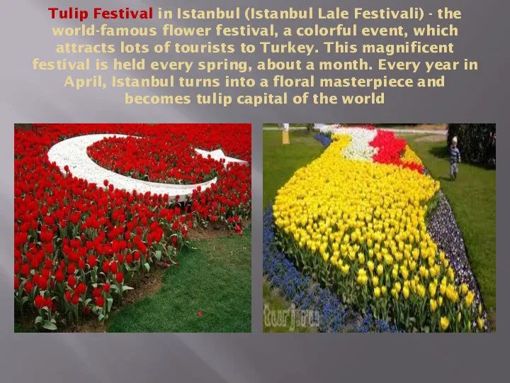 Tulip Festival in Istanbul (Istanbul Lale Festivali) - the world-famous flower