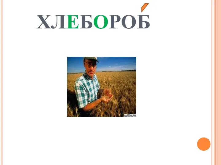 ХЛЕБОРОБ