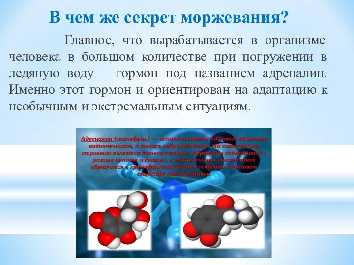 В чем же секрет моржевания? Главное, что вырабатывается в организме человека