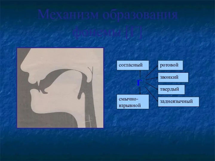 Механизм образования фонемы [Г]