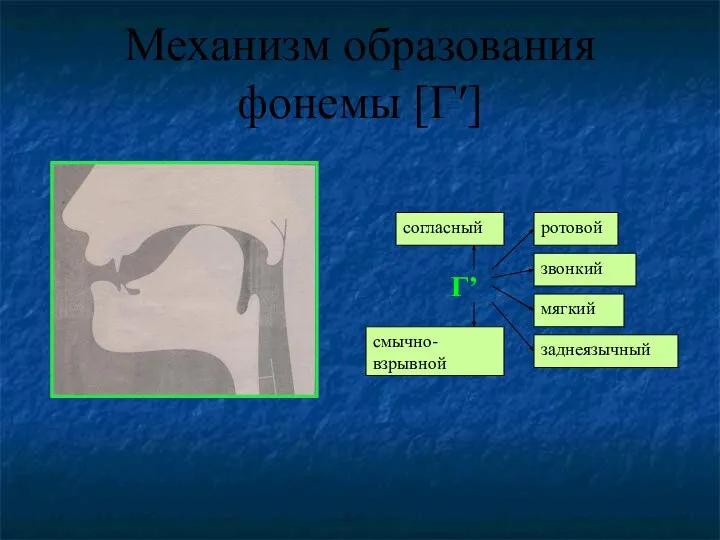 Механизм образования фонемы [Г′]