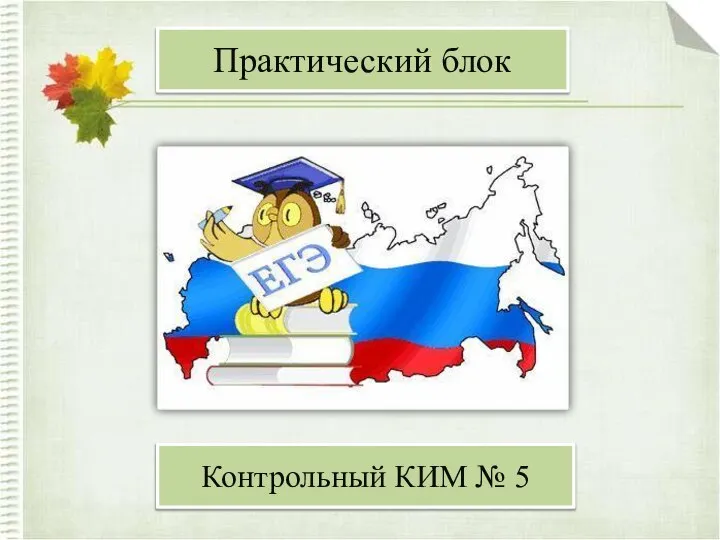 Практический блок Контрольный КИМ № 5