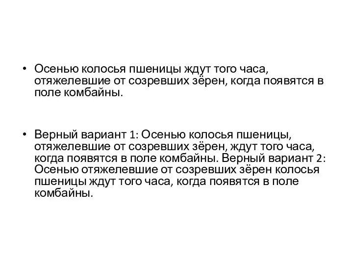 Осенью колосья пшеницы ждут того часа, отяжелевшие от созревших зёрен, когда