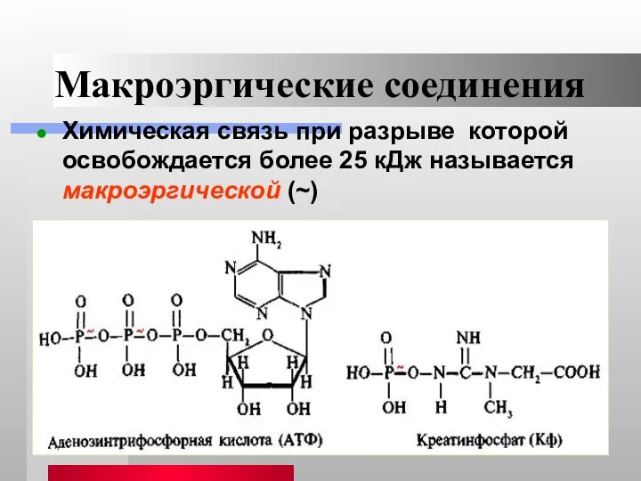 Макроэргические соединения Химическая связь при разрыве которой освобождается более 25 кДж называется макроэргической (~)