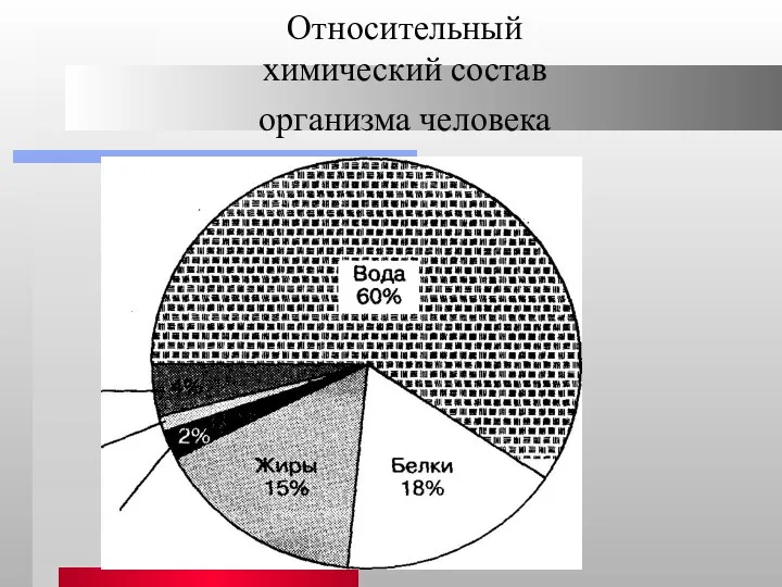 Относительный химический состав организма человека