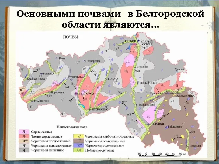 Основными почвами в Белгородской области являются… Вельченко Венера Владимировна