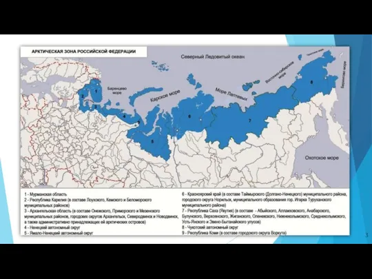 Состав арктической хоны РФ: