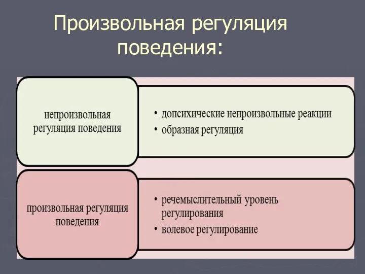 Произвольная регуляция поведения: