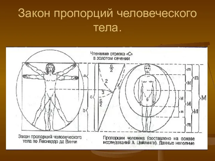 Закон пропорций человеческого тела.