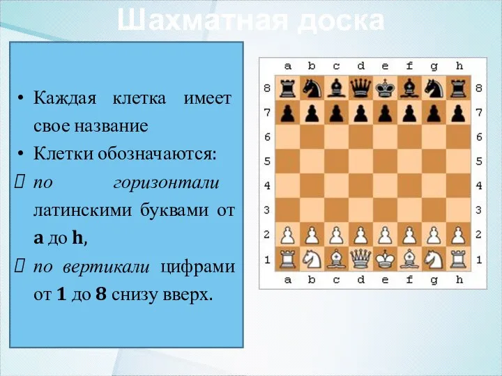 Шахматная доска Каждая клетка имеет свое название Клетки обозначаются: по горизонтали