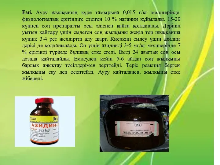 Емі. Ауру жылқының күре тамырына 0,015 г/кг мөлшерінде физиологиялық ерітіндіге езілген