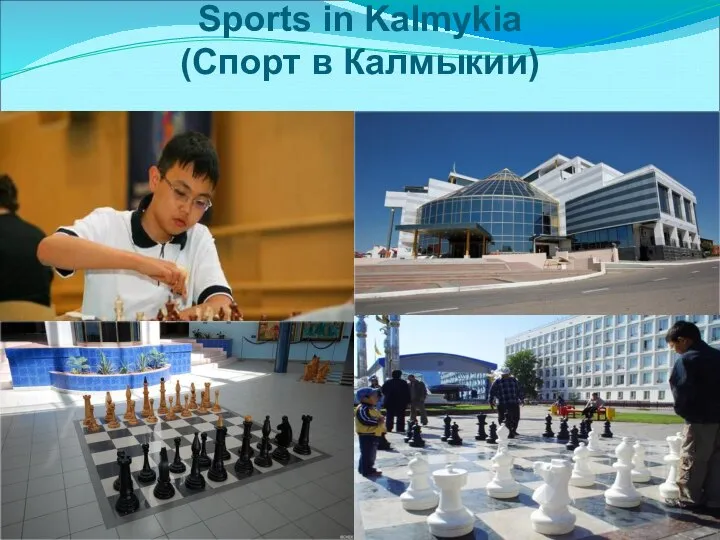 Sports in Kalmykia (Спорт в Калмыкии)