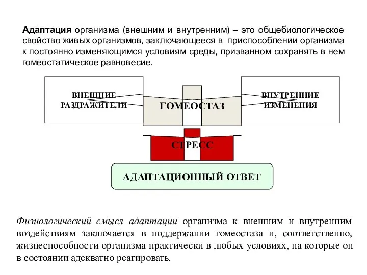 Адаптация организма (внешним и внутренним) – это общебиологическое свойство живых организмов,