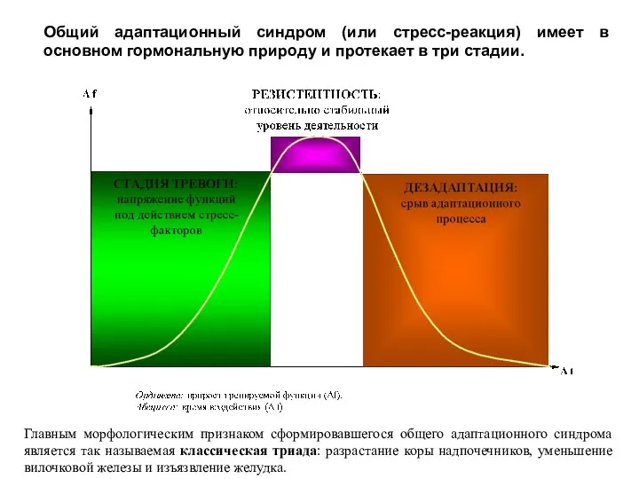 Общий адаптационный синдром (или стресс-реакция) имеет в основном гормональную природу и