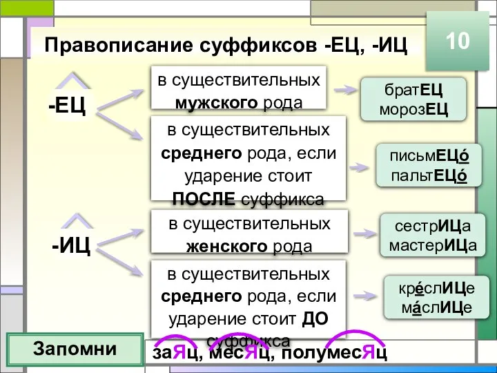 Правописание суффиксов -ЕЦ, -ИЦ Запомни 10 -ЕЦ -ИЦ в существительных среднего