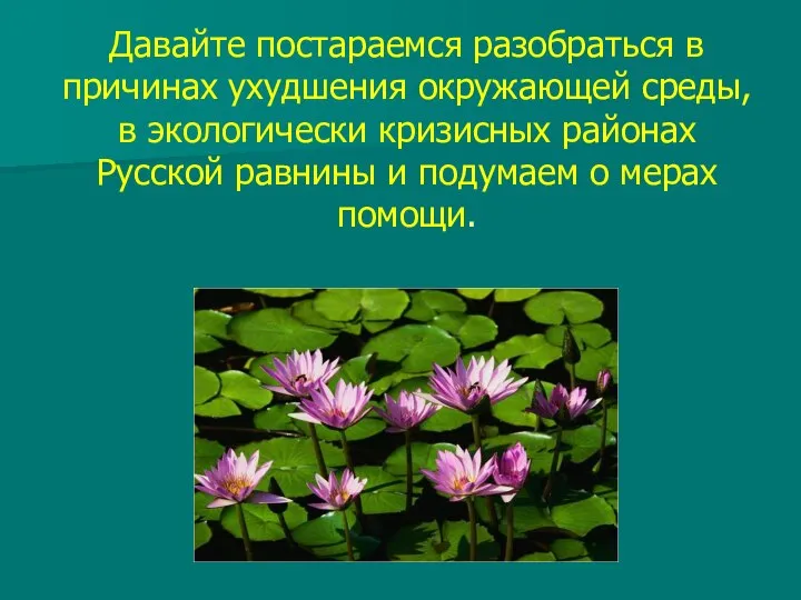 Давайте постараемся разобраться в причинах ухудшения окружающей среды, в экологически кризисных