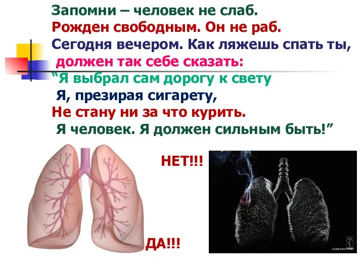 Запомни – человек не слаб. Рожден свободным. Он не раб. Сегодня