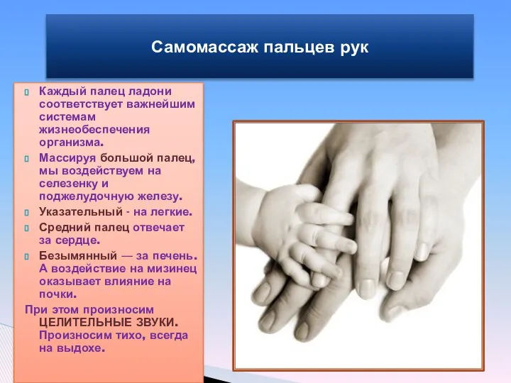 Самомассаж пальцев рук Каждый палец ладони соответствует важнейшим системам жизнеобеспечения организма.