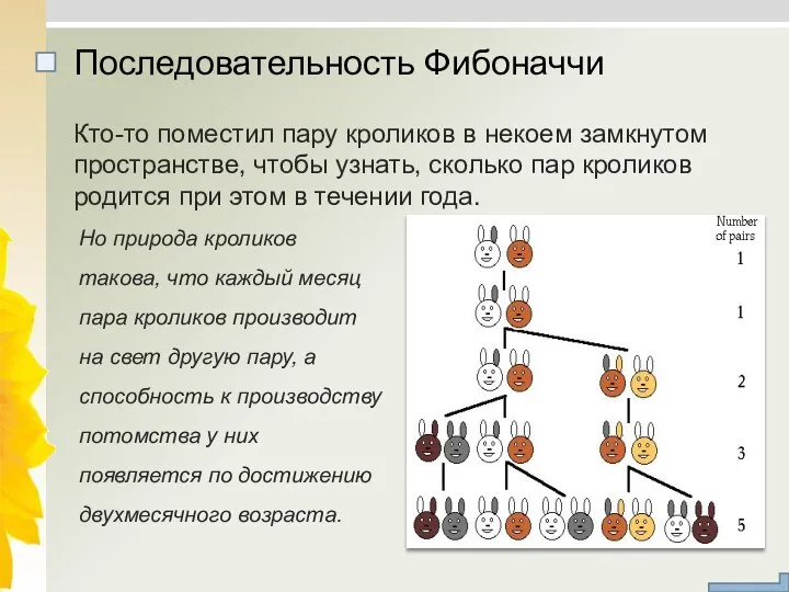 Кто-то поместил пару кроликов в некоем замкнутом пространстве, чтобы узнать, сколько