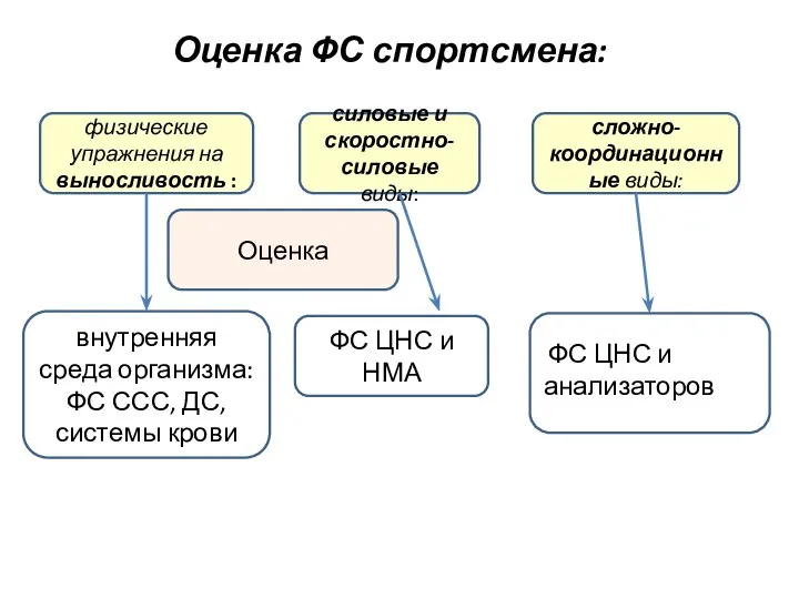 Оценка ФС спортсмена: физические упражнения на выносливость : силовые и скоростно-силовые