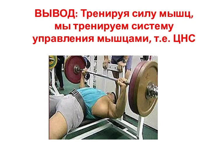 ВЫВОД: Тренируя силу мышц, мы тренируем систему управления мышцами, т.е. ЦНС