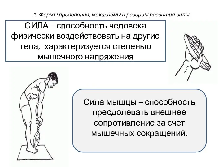 1. Формы проявления, механизмы и резервы развития силы СИЛА – способность