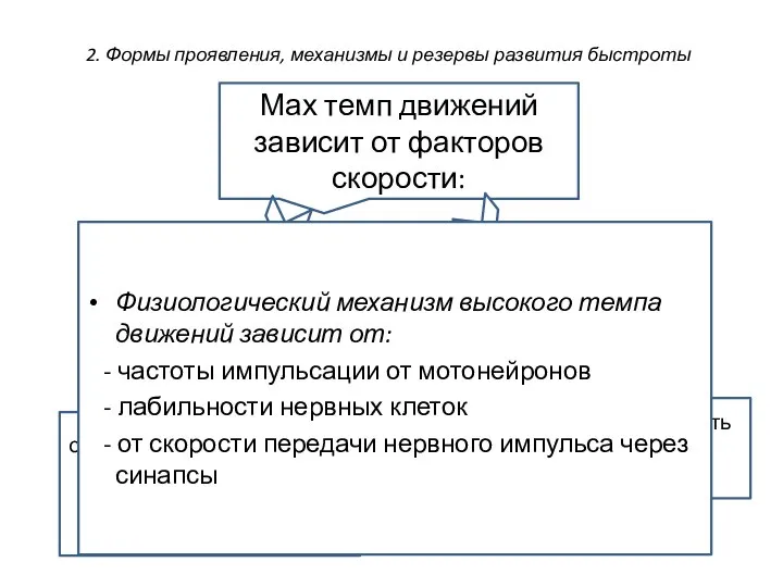 2. Формы проявления, механизмы и резервы развития быстроты Мах темп движений