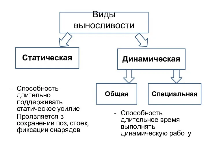 Способность длительно поддерживать статическое усилие Проявляется в сохранении поз, стоек, фиксации