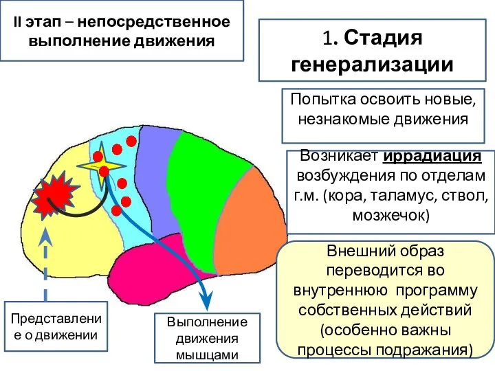 II этап – непосредственное выполнение движения Представление о движении Выполнение движения