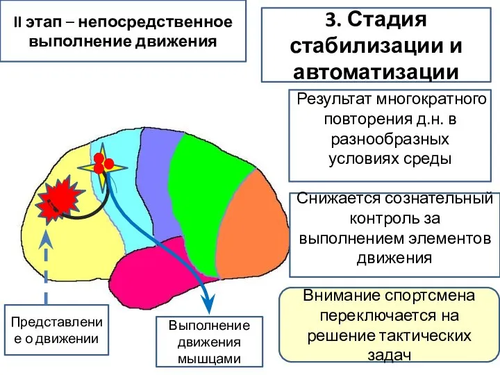 II этап – непосредственное выполнение движения Представление о движении Выполнение движения