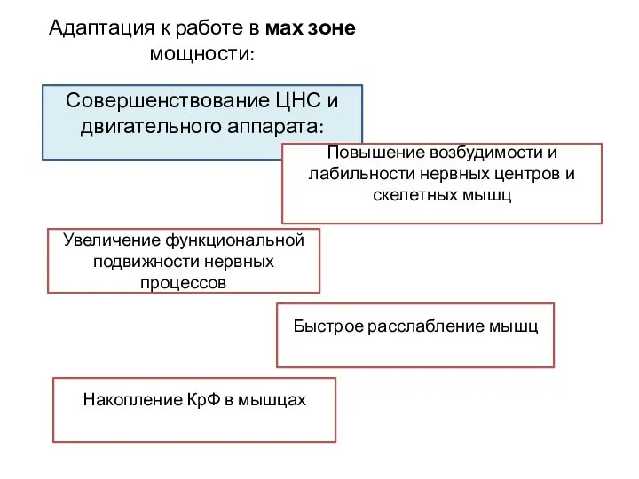 Адаптация к работе в мах зоне мощности: Совершенствование ЦНС и двигательного