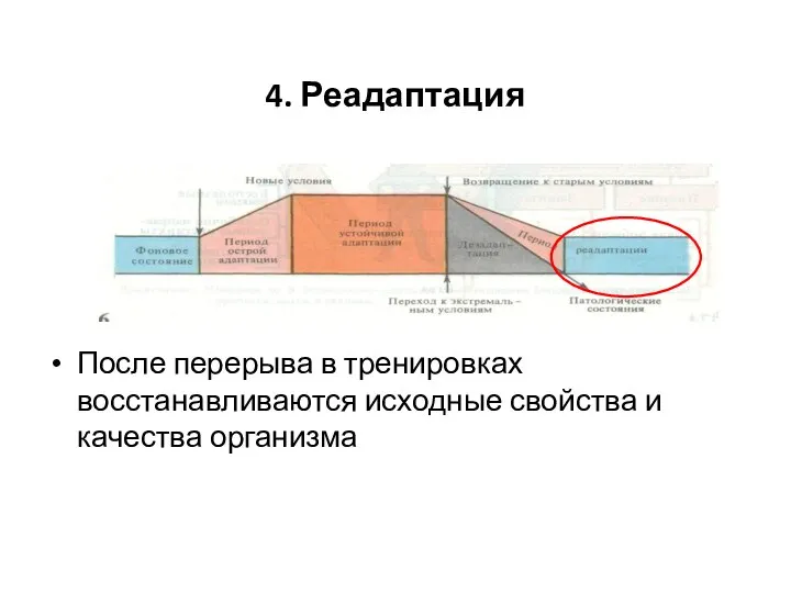 4. Реадаптация После перерыва в тренировках восстанавливаются исходные свойства и качества организма