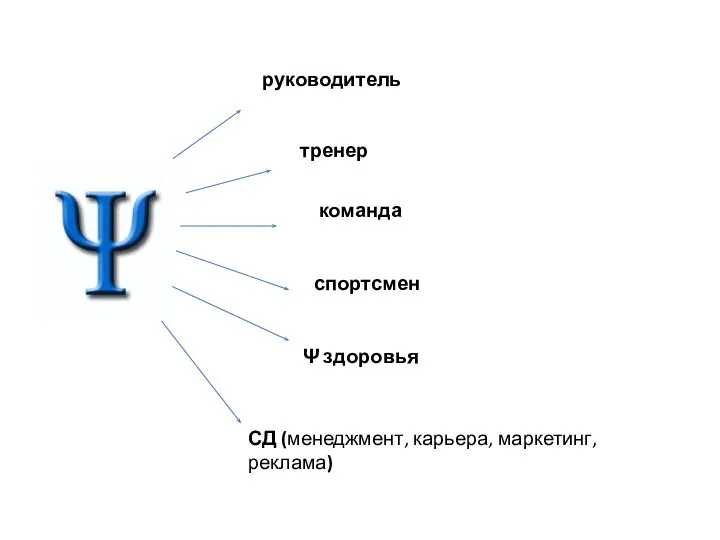 руководитель тренер команда спортсмен Ψ здоровья СД (менеджмент, карьера, маркетинг, реклама)