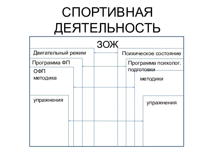 СПОРТИВНАЯ ДЕЯТЕЛЬНОСТЬ ЗОЖ упражнения ОФП методика Программа ФП Двигательный режим упражнения