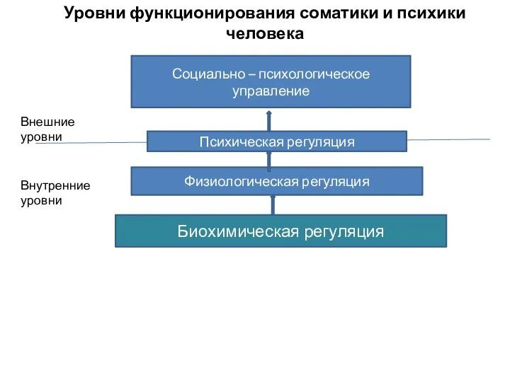 Социально – психологическое управление Психическая регуляция Физиологическая регуляция Биохимическая регуляция Уровни