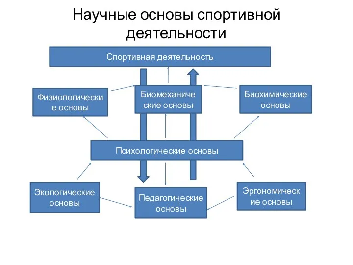 Научные основы спортивной деятельности Спортивная деятельность Физиологические основы Биохимические основы Эргономические