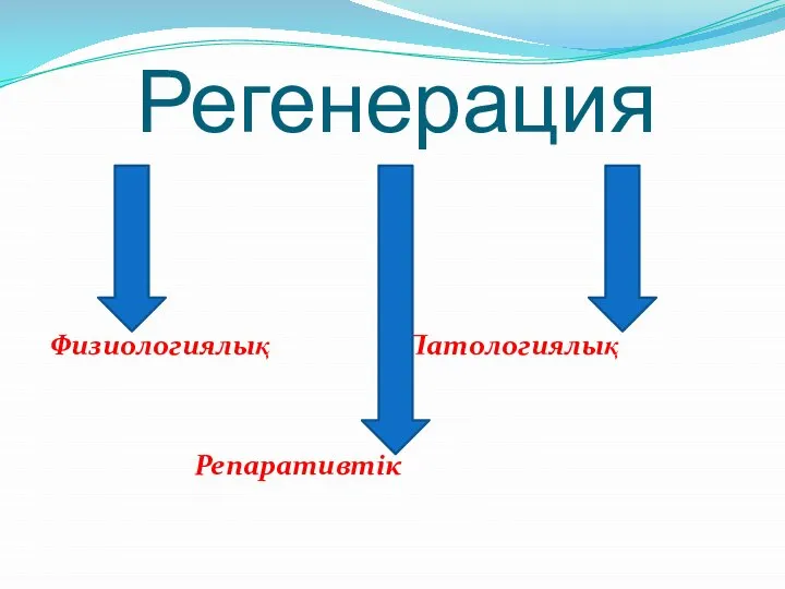 Регенерация Физиологиялық Патологиялық Репаративтік