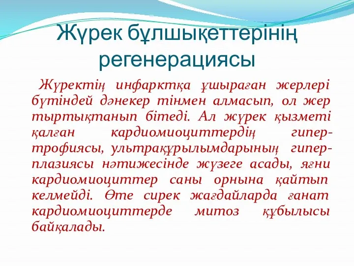 Жүрек бұлшықеттерінің регенерациясы Жүректің инфарктқа ұшыраған жерлері бүтіндей дәнекер тінмен алмасып,