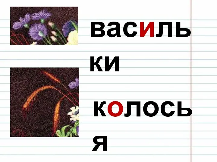 васильки колосья