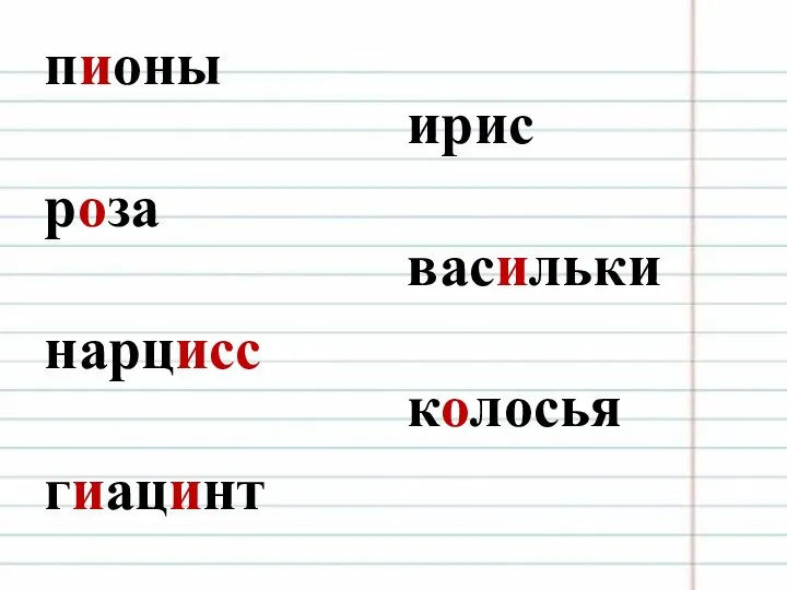 пионы роза нарцисс гиацинт ирис васильки колосья