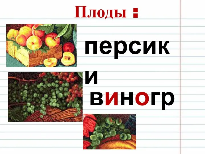 Плоды : персики виноград