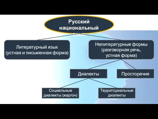 Русский национальный язык Литературный язык (устная и письменная форма) Нелитературные формы