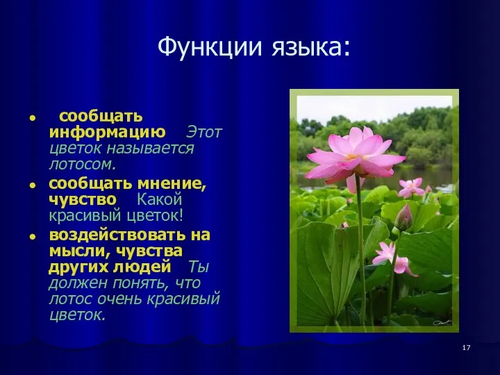 Функции языка: сообщать информацию Этот цветок называется лотосом. сообщать мнение, чувство