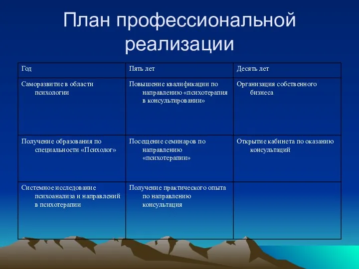 План профессиональной реализации