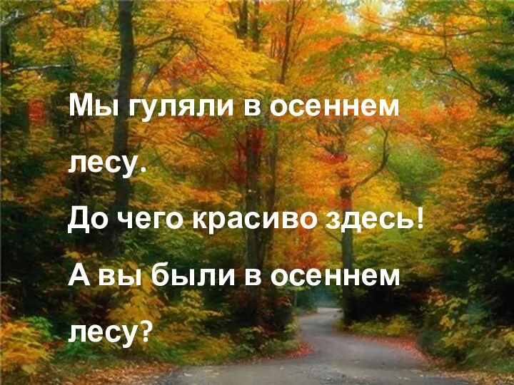 © InfoUrok.ru Мы гуляли в осеннем лесу. До чего красиво здесь!