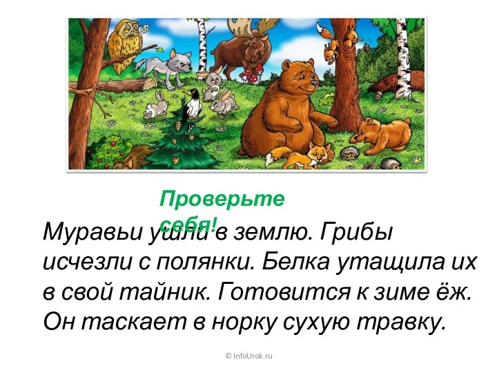 © InfoUrok.ru Муравьи ушли в землю. Грибы исчезли с полянки. Белка